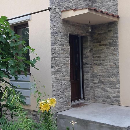 Casa Cu Tei Apartment Cluj-Napoca Exterior photo